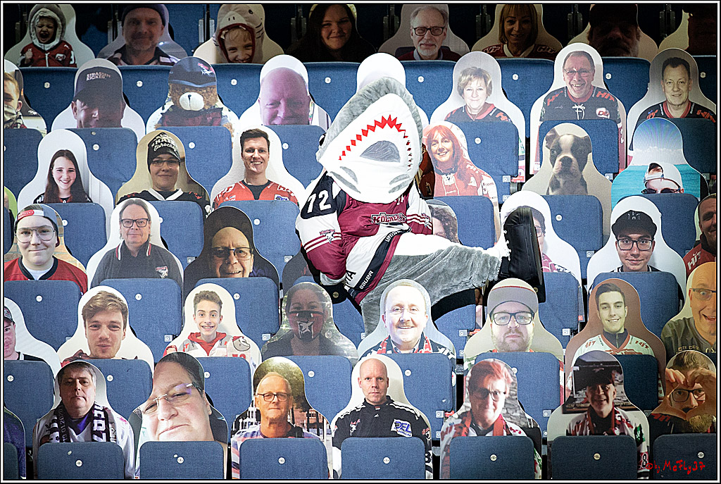 PENNY DEL;  Koelner Haie - Fischtown Pinguins Bremerhaven; Koeln, 12.02.2021